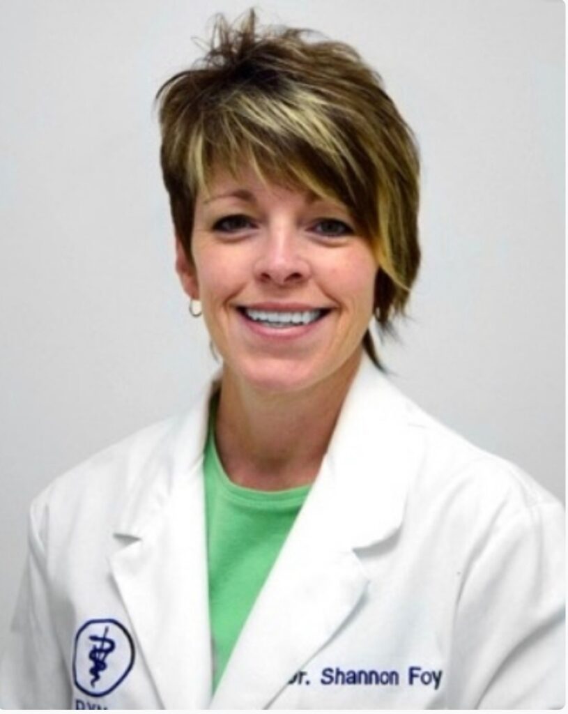 shannon foy dvm