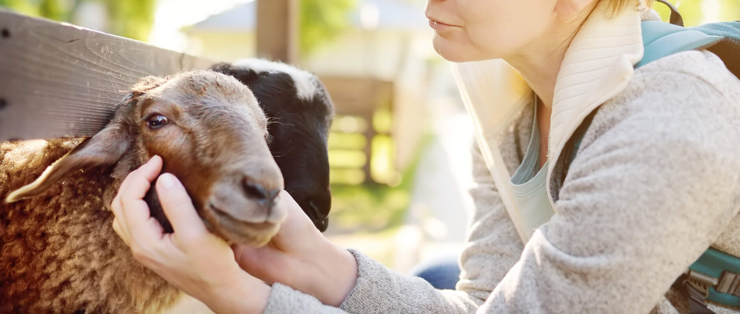 Women-petting-sheep-helping-hand
