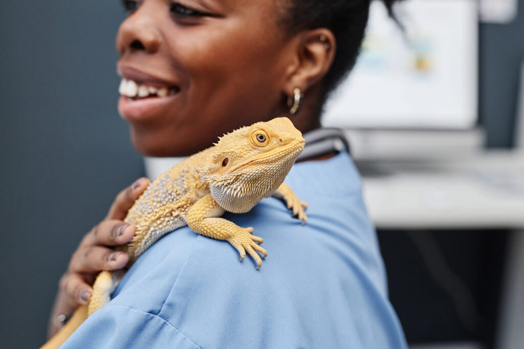 lizard-sitting-on-vet'-shoulder