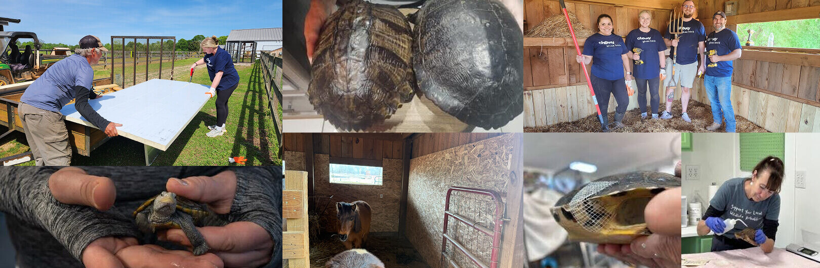 possumwood-acres-and-rescue-ranch