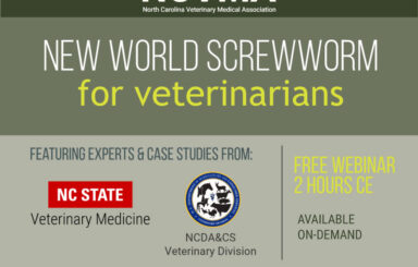 Graphic promoting New World Screwworm for Veterinarians webinar